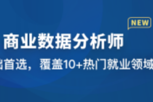 商业数据分析师（已完结）11
