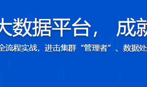 [完结19章]多层次构建企业级大数据平台， 成就全能型大数据开发