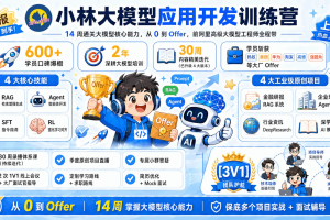 小林coding十四周大模型训练营